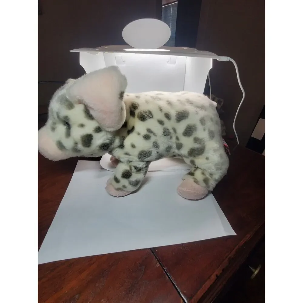 Douglas Leroy Spotted Pig Plush 12